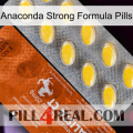 Anaconda Strong Formula Pills 42